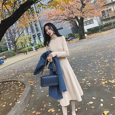 秋冬季毛衣打底女套头中长款过膝小清新高领针